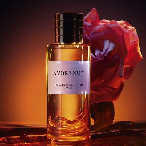 dior ambre nuit duftzwilling